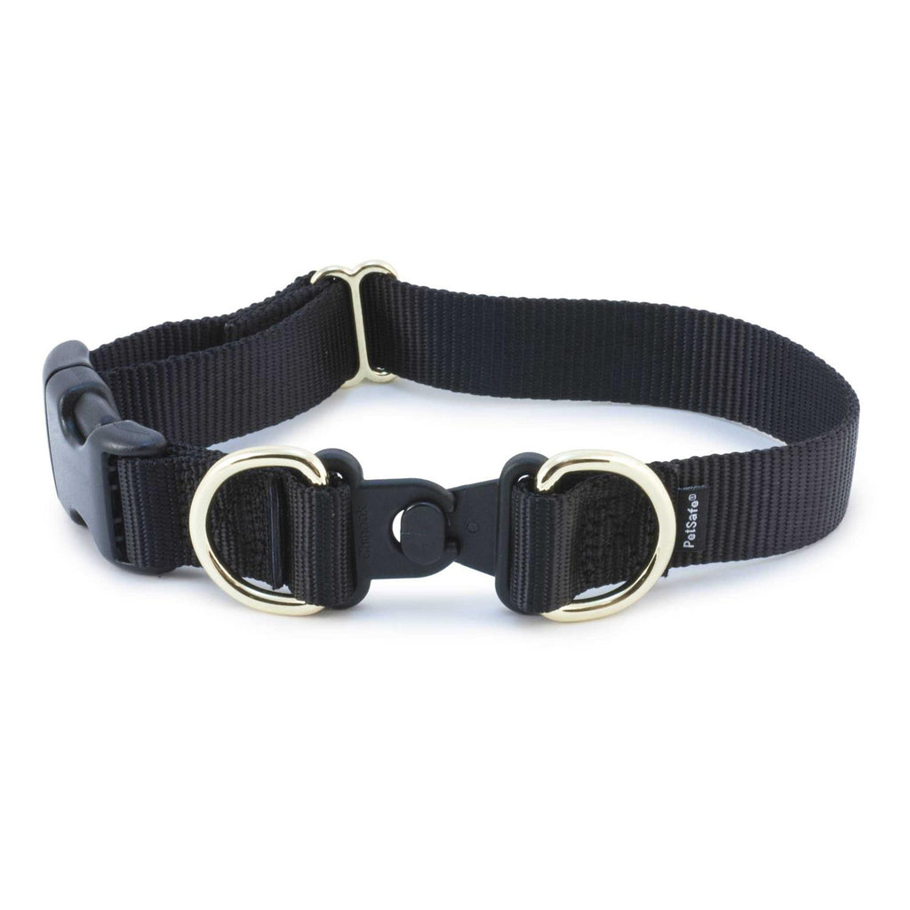 Break-Away Dog Collar W699