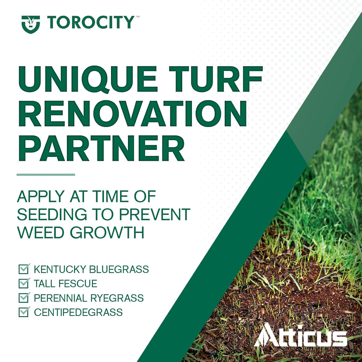 16 oz Turf Herbicide (2 x 8 oz Bottles) R39262