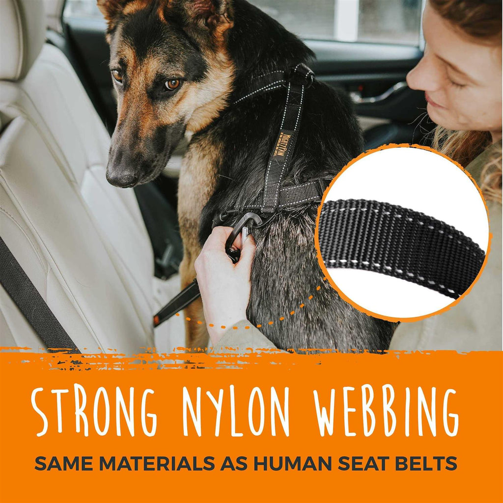 Dog Seat Belt Y379
