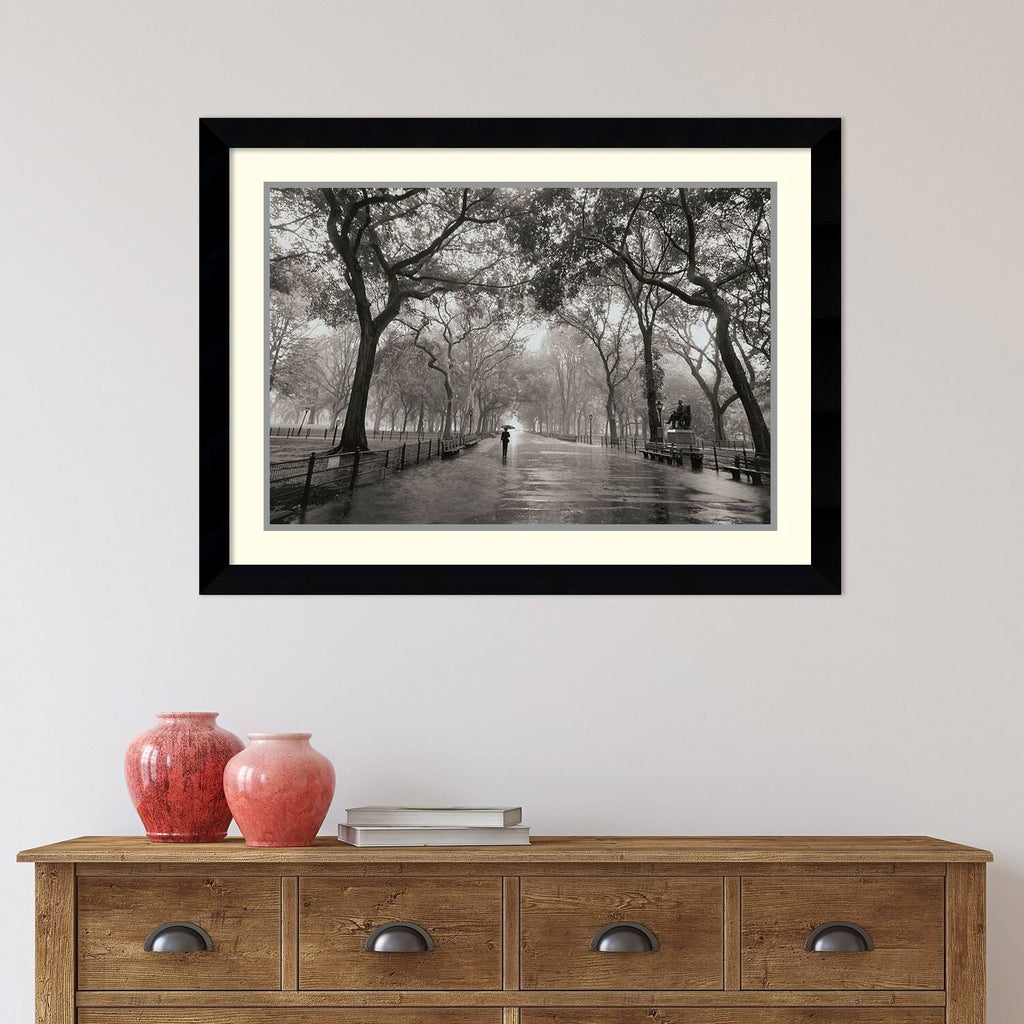 Framed Photographic Print R4581