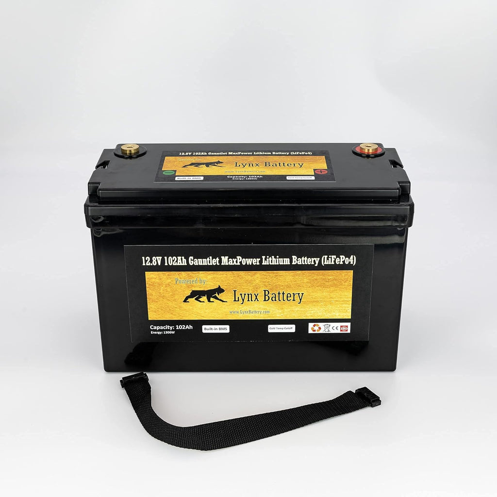 12V 100Ah Lithium Iron Phosphate LiFePO4 Battery with BMS L1669