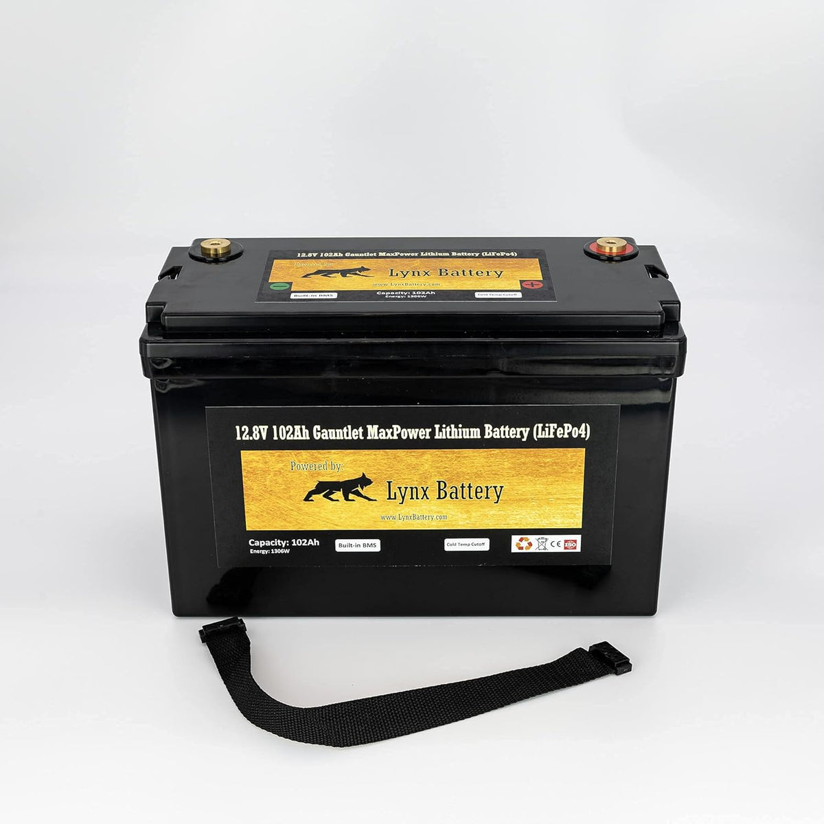 12V 100Ah Lithium Iron Phosphate LiFePO4 Battery with BMS L1669