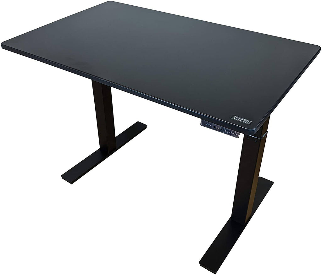 Electric Adjustable Height Standing Desk Black / 60x30x22 Natural Bamboo R1853