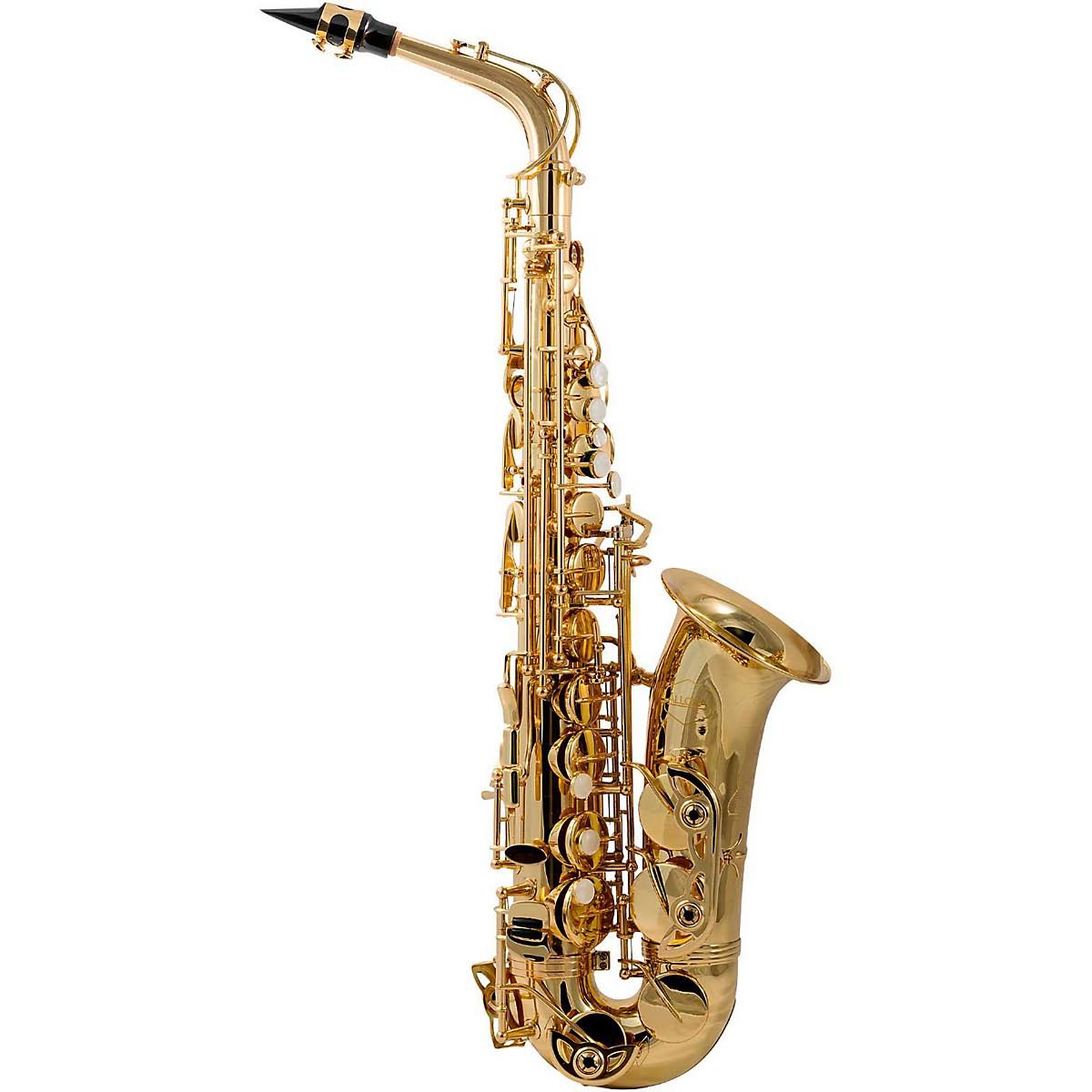 Alto Saxophone Lacquer C828