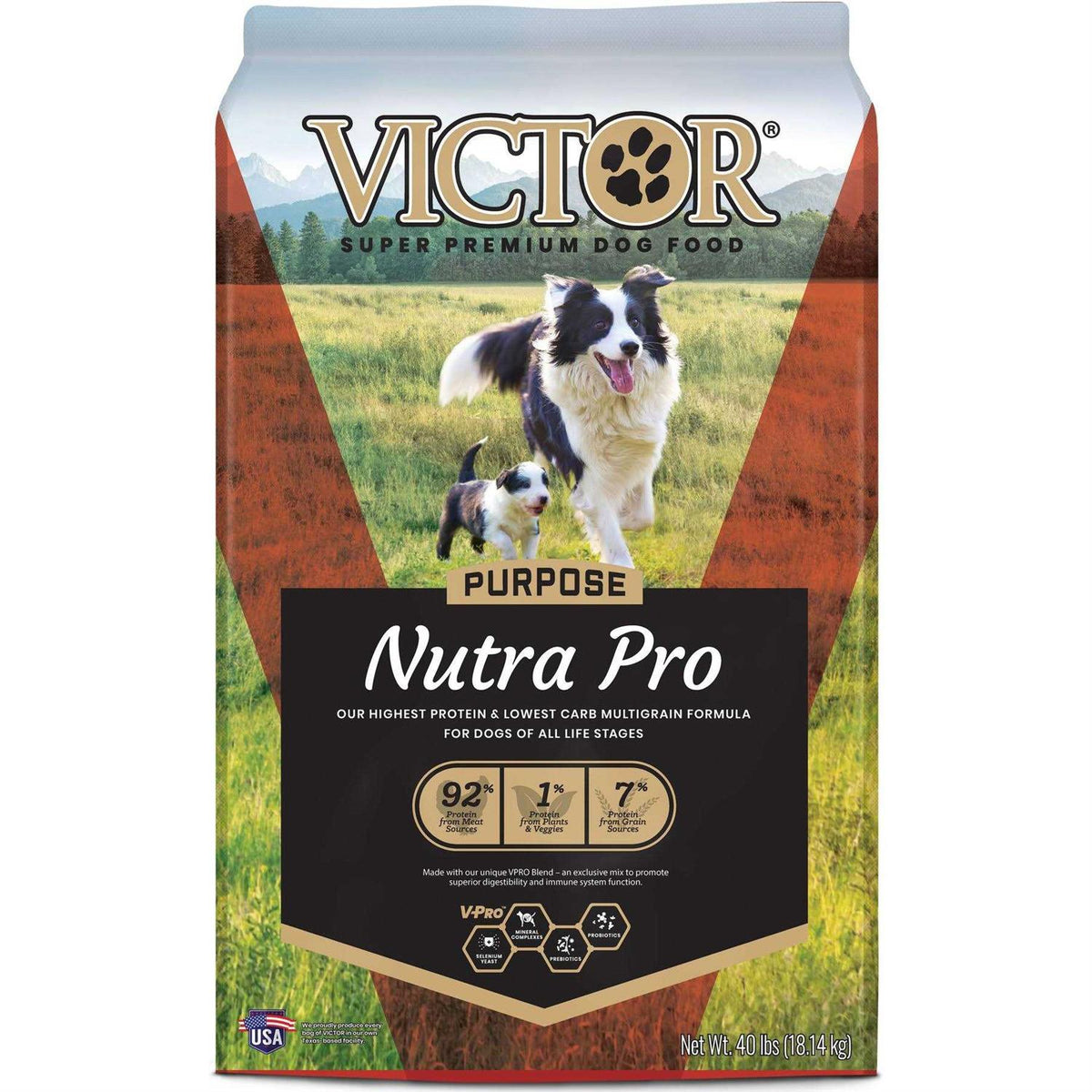 Dog Food I9443