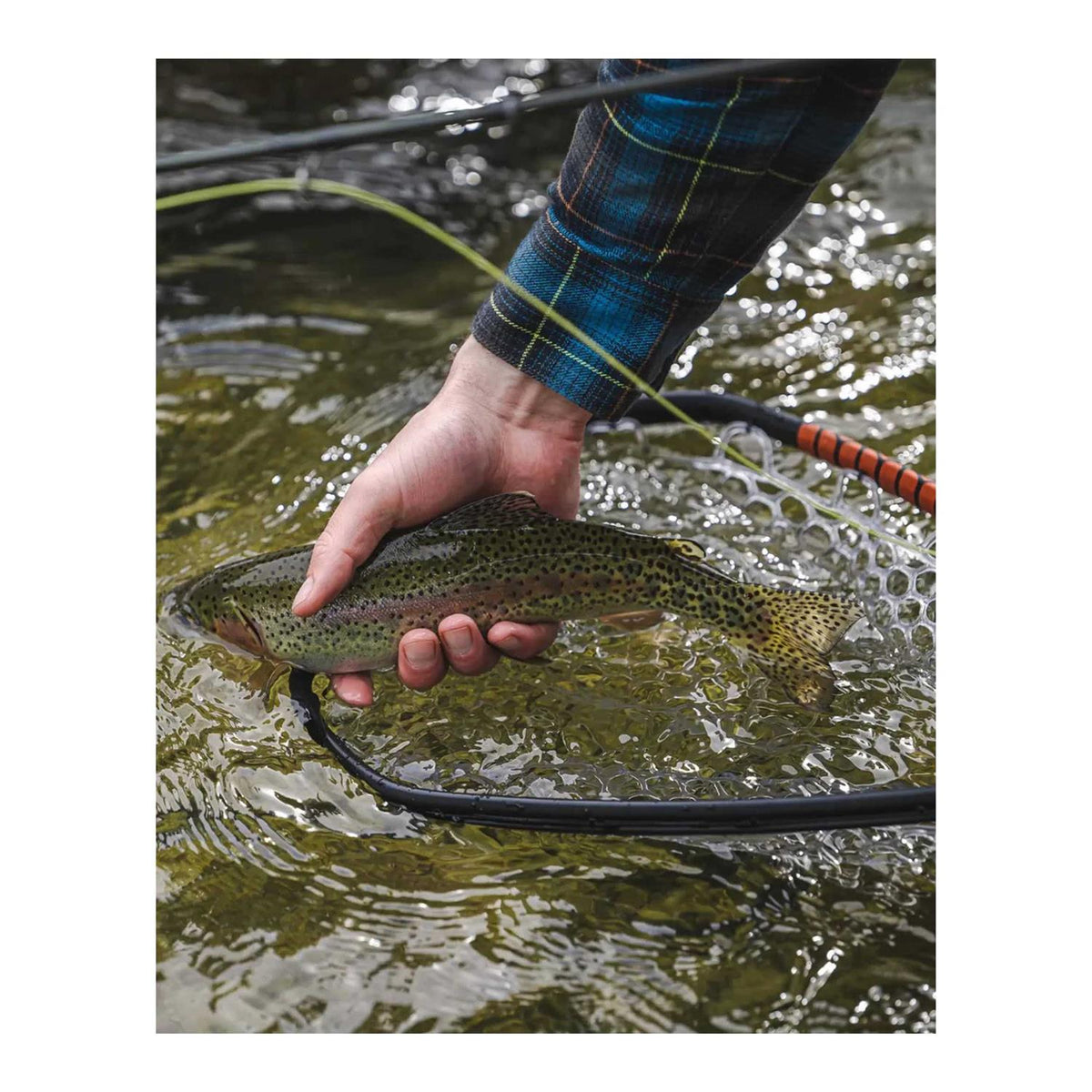 Daymaker Landing Net J762