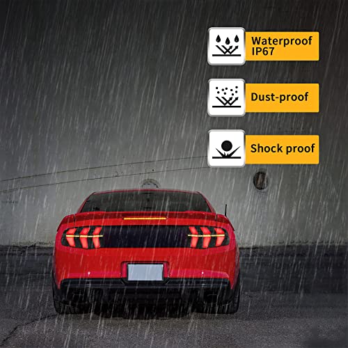 LED Tail Lights with Amber Red Turn Signal Smoke Lens T173