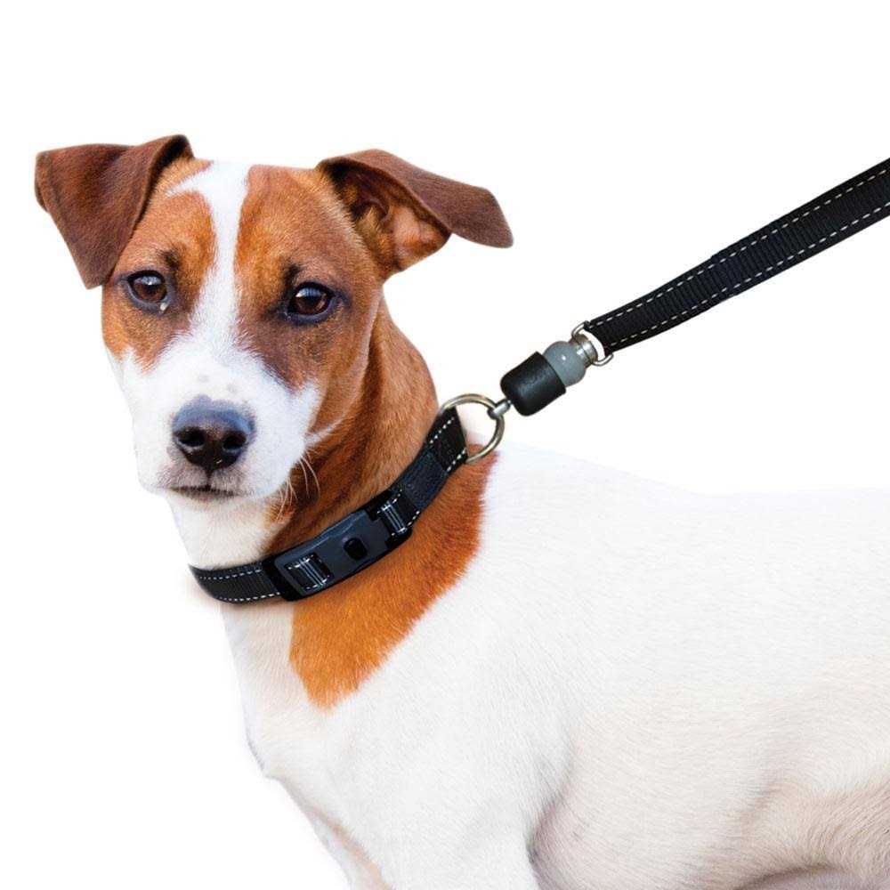 Quick-Connect Dog Leash Q5633