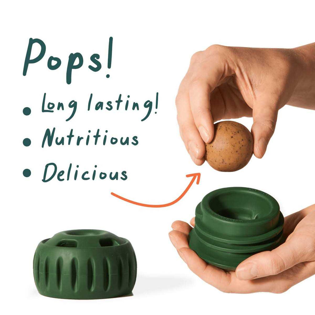 Beef Pops L46307