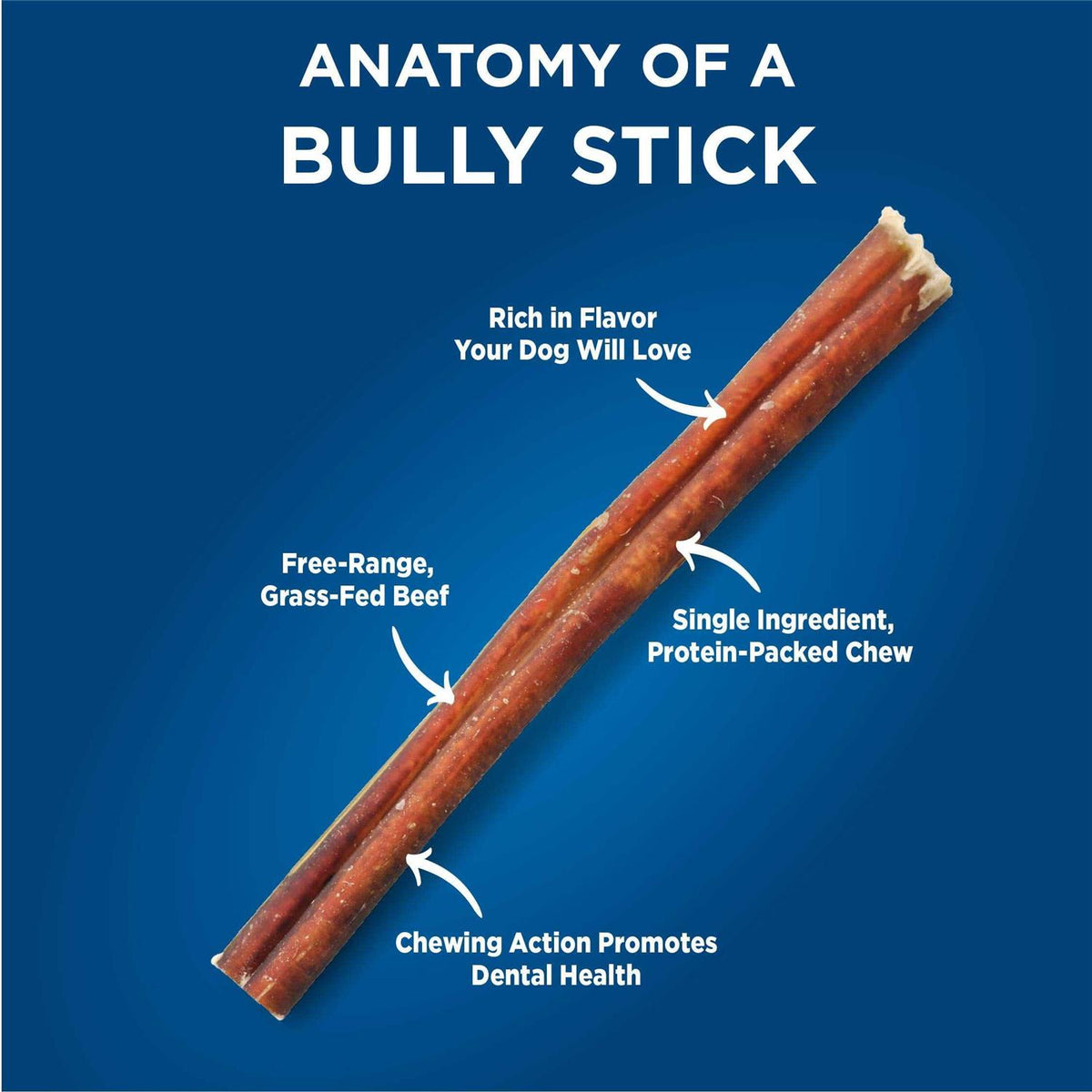Odor Free Bully E458663