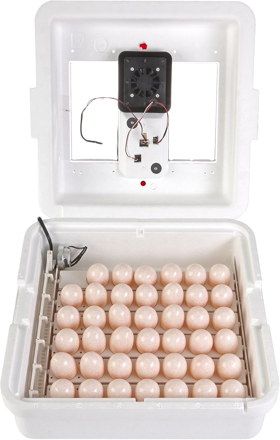 41 Egg Incubator with Fan and Temperature and Humidity Control U6129