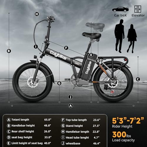 20" Fat Tire 1000W Electric Bike with 48V 20AH Removable Battery H53866