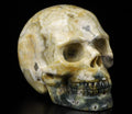 2.0” Ocean Jasper Crystal Skull Hand Carved Gemstone Sculpture Q1598