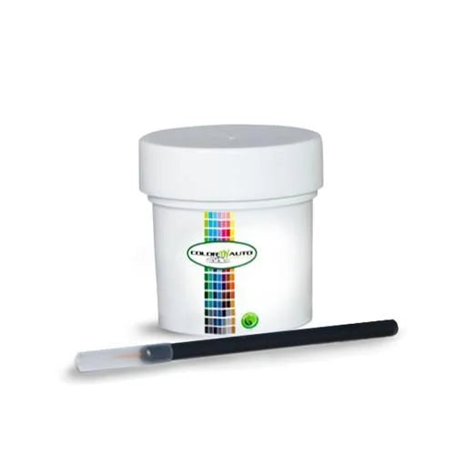 Single Stage Automotive Paint 1 Oz Bottle F741