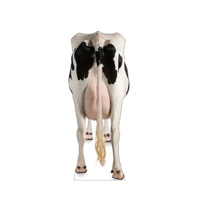 Cardboard Stand-Up O724