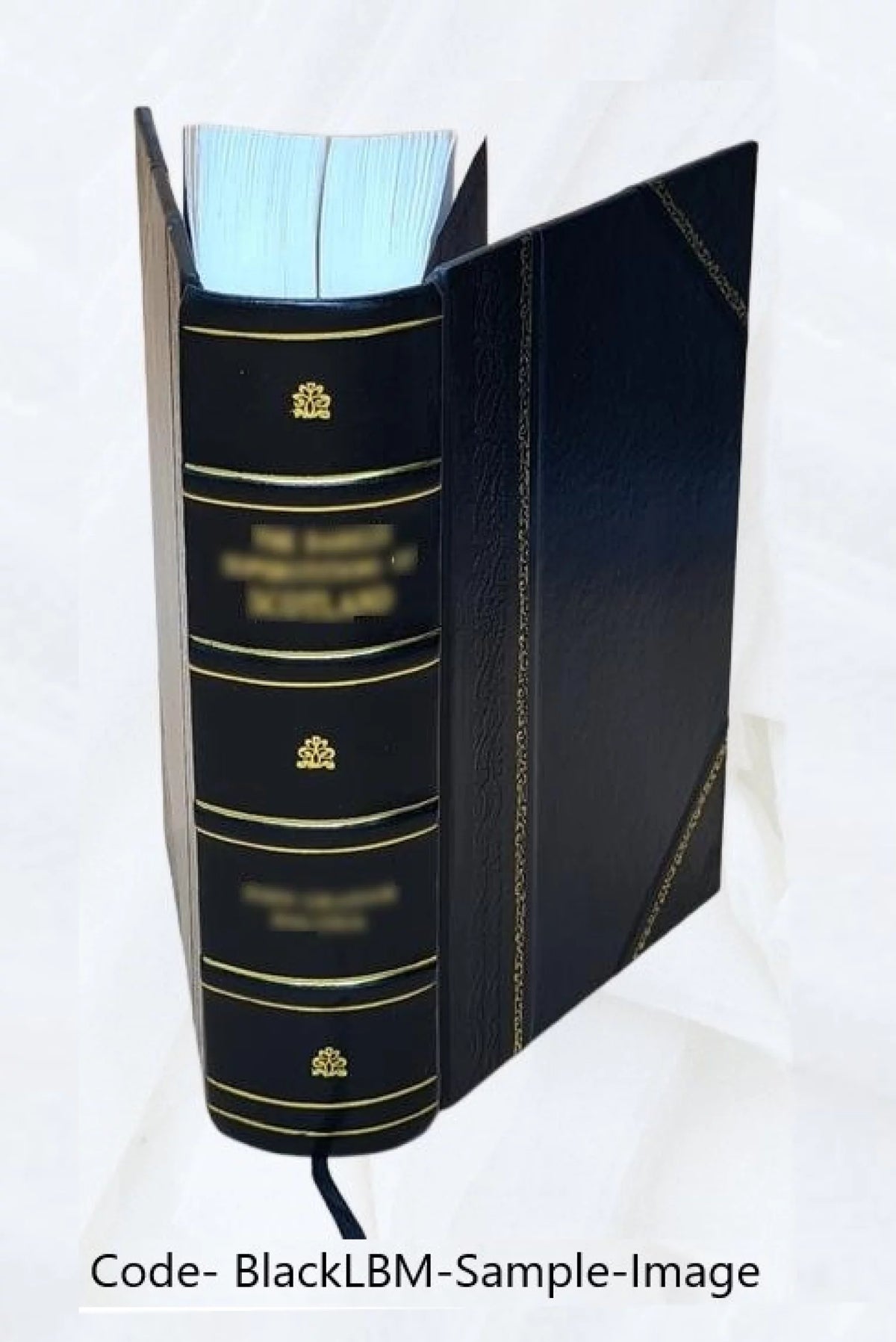 Therapeutics Handbook S216081