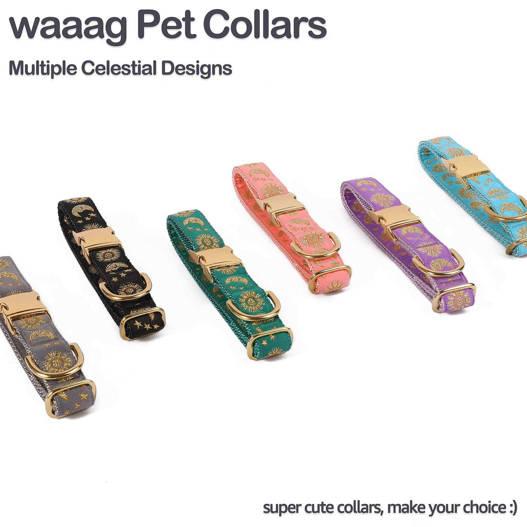 Cat Collar Dog Collar Cat Leash K173457