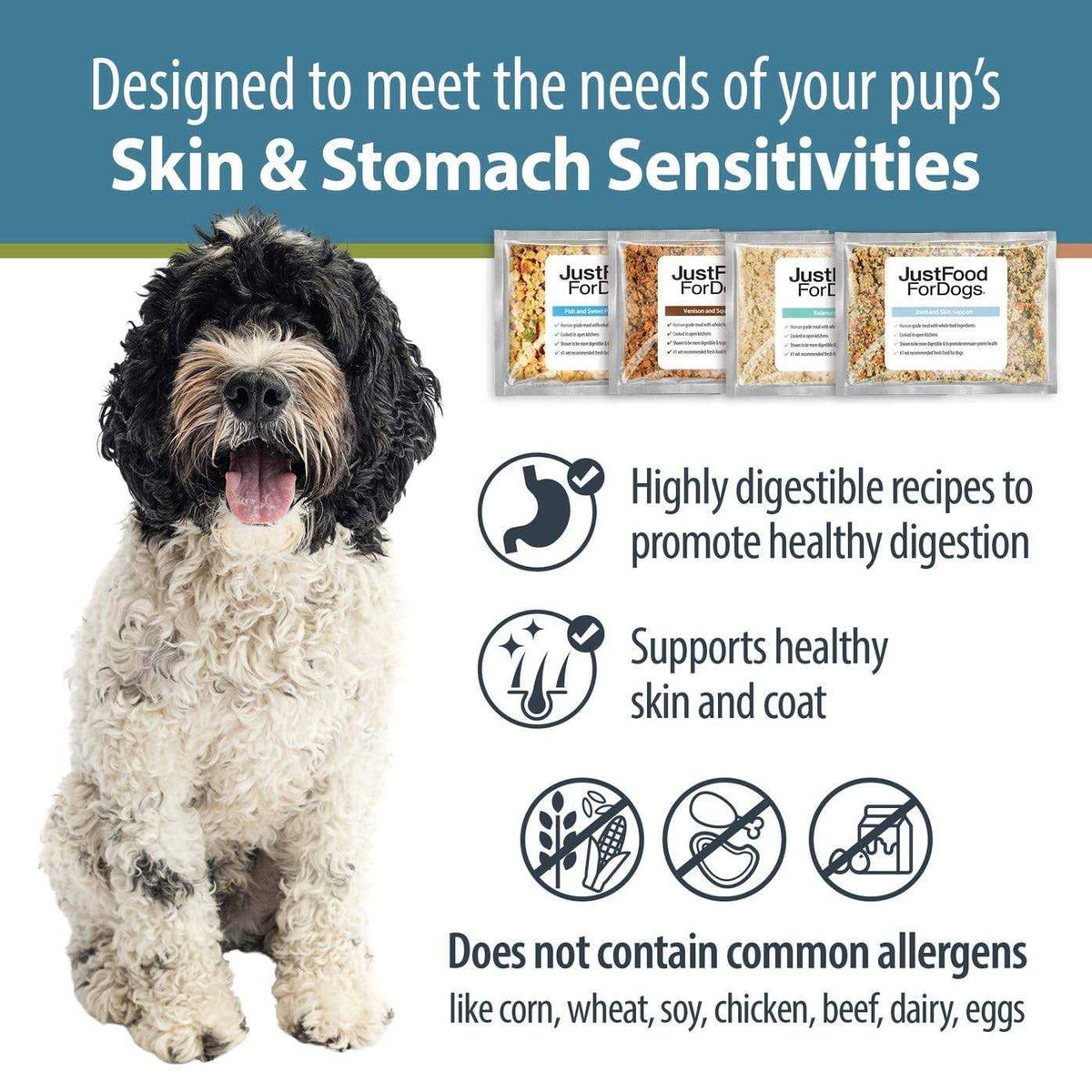 Frozen Fresh Dog Food P404