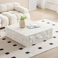 Lift Top Wood Coffee Table with Storage U66508