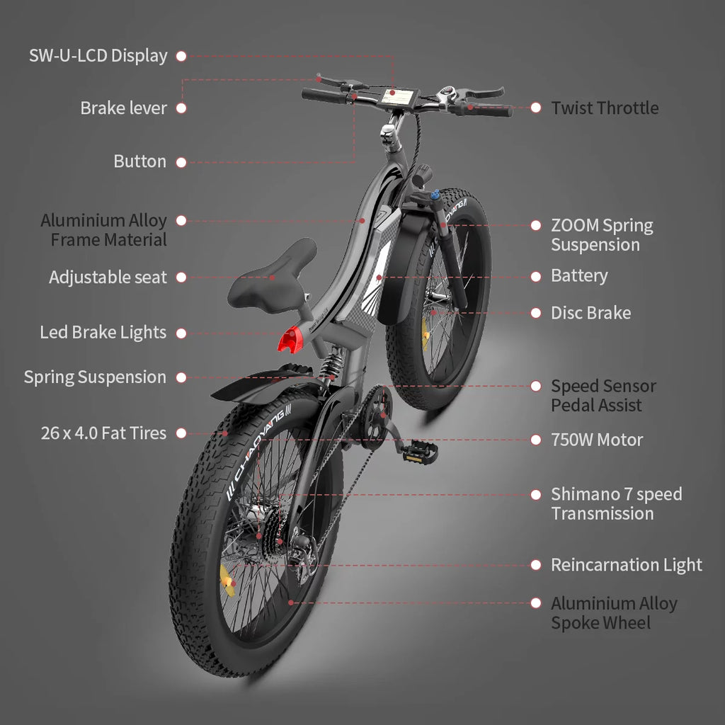 750W Fat Tire Electric Bike 48V 15AH Removable Lithium Battery D5199