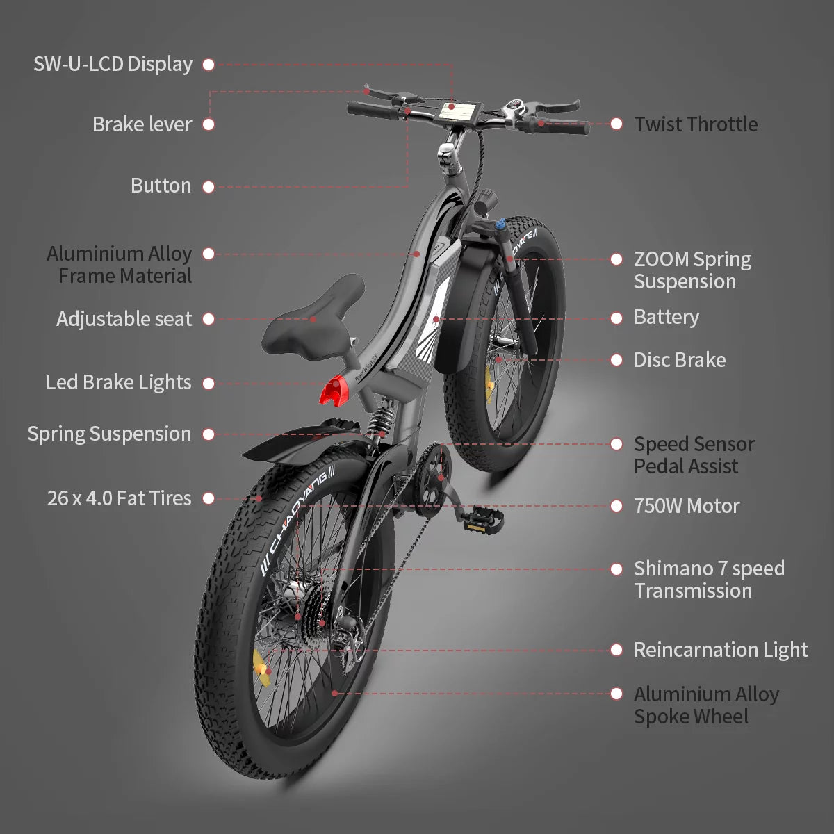 750W Fat Tire Electric Bike 48V 15AH Removable Lithium Battery D5199
