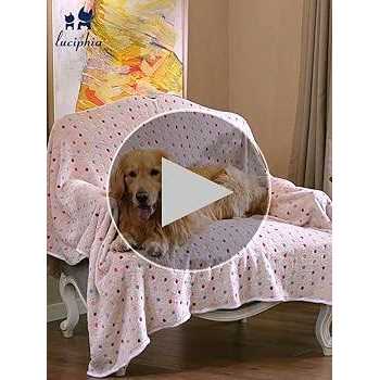 3 Flannel Pet Blanket X393525