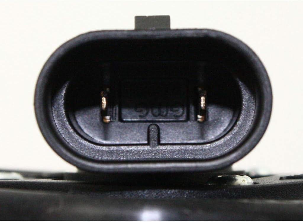 Fog Light Assembly Passenger Side with Bulbs Pack of 2 F358