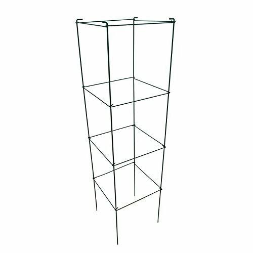 Green Square Folding Tomato Cage Plant Support Tower 12 inch by 46 inch, Pack of 5 Sets N661
