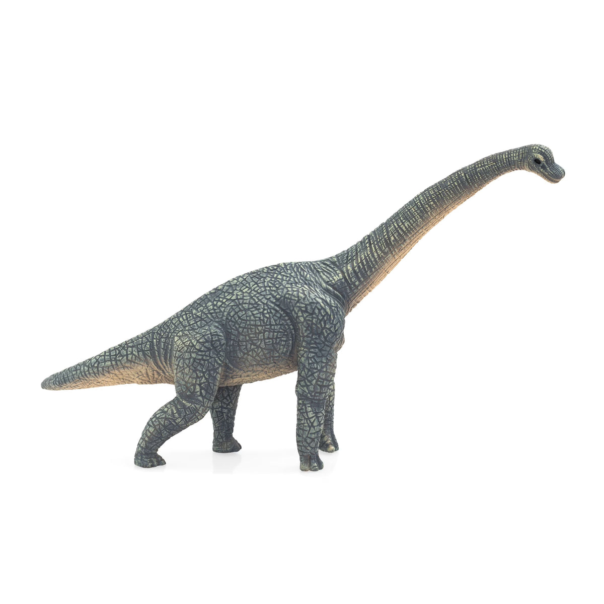 Brachiosaurus Dinosaur Figurine Z446401
