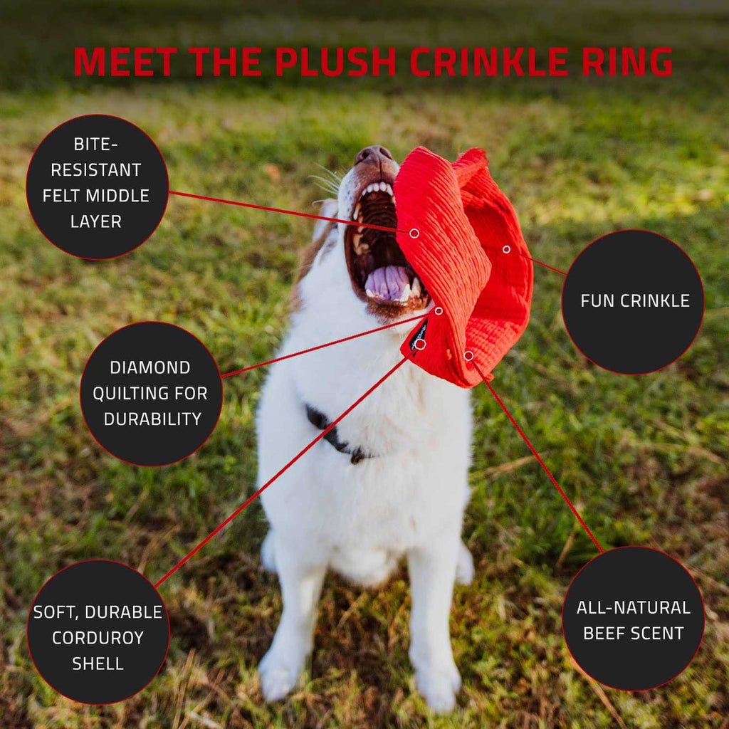 Beef Scented Plush Crinkle Ring Dog Toy K535