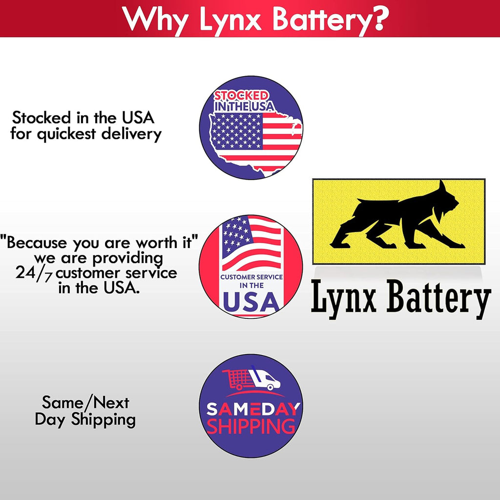 12V 100Ah Lithium Iron Phosphate LiFePO4 Battery with BMS L1669