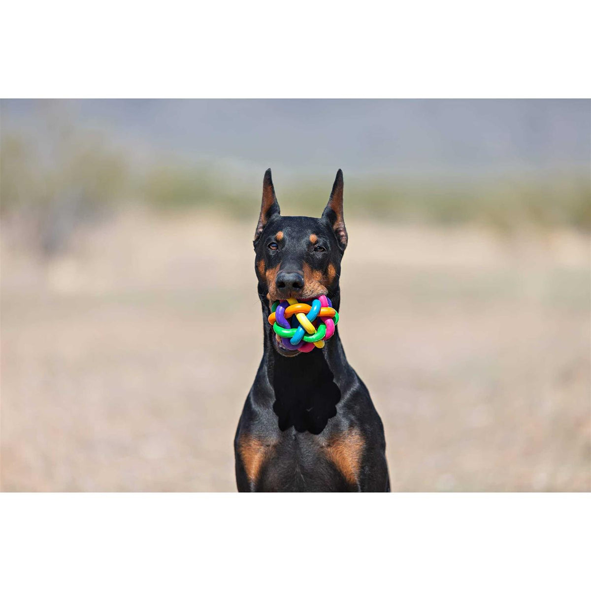 Dog Toy M8393