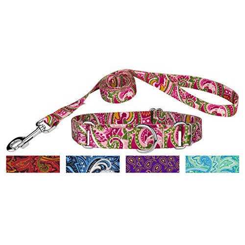 Martingale Dog Collar V2297