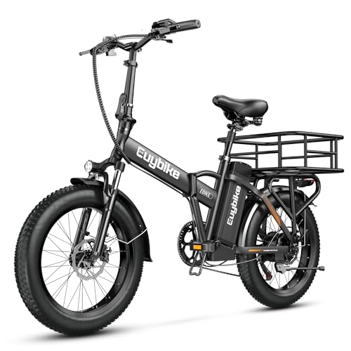 20" Fat Tire 1000W Electric Bike with 48V 20AH Removable Battery H53866