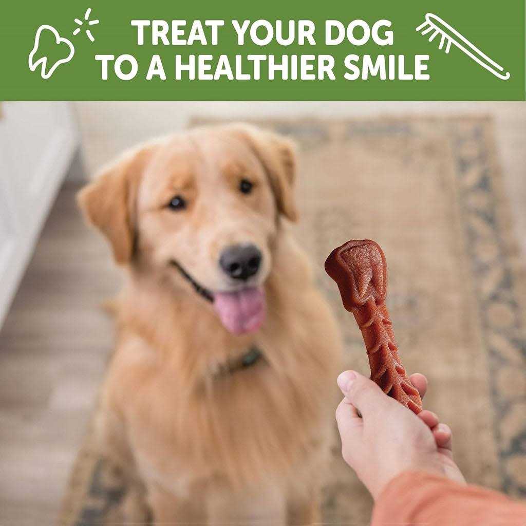 Natural Dental Dog Treats Value Box D969