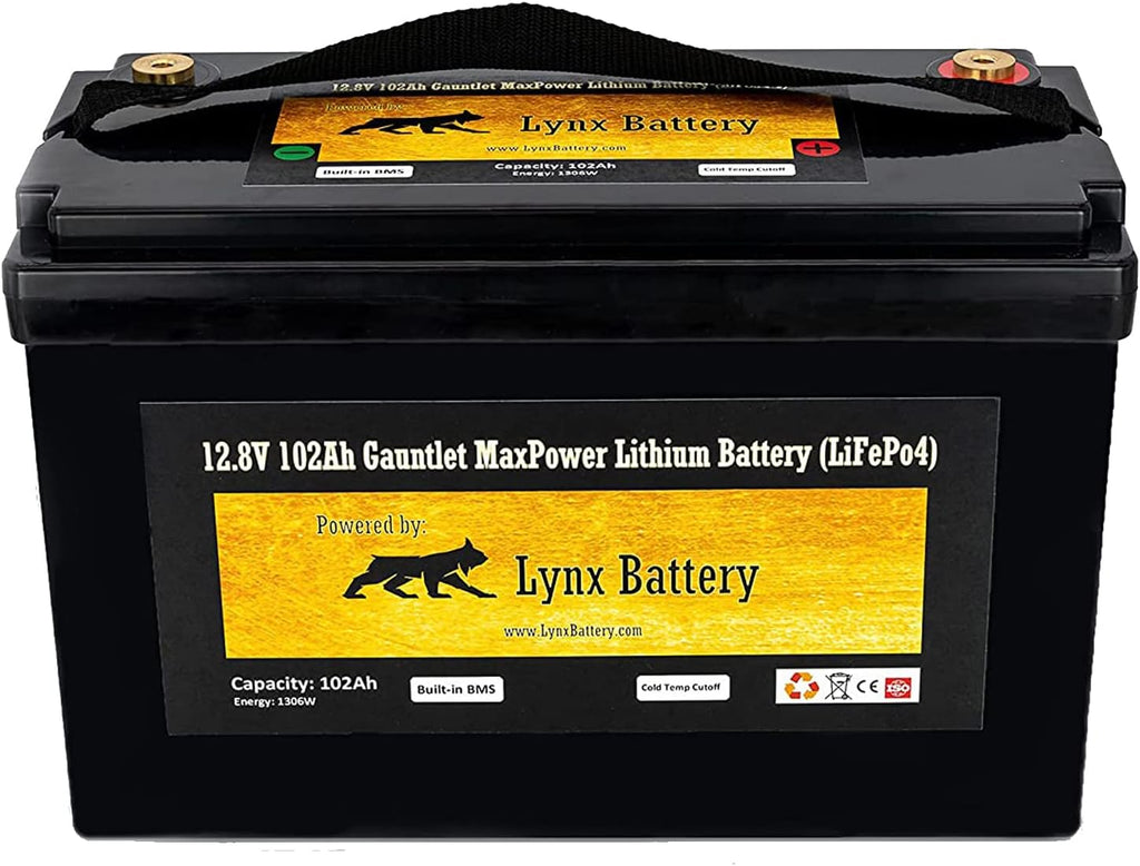12V 100Ah Lithium Iron Phosphate LiFePO4 Battery with BMS L1669