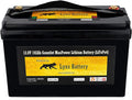 12V 100Ah Lithium Iron Phosphate LiFePO4 Battery with BMS L1669