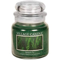 Case of 3 Medium Glass Apothecary Jar Scented Candle, 13.75 Net Ounces, Green W876127