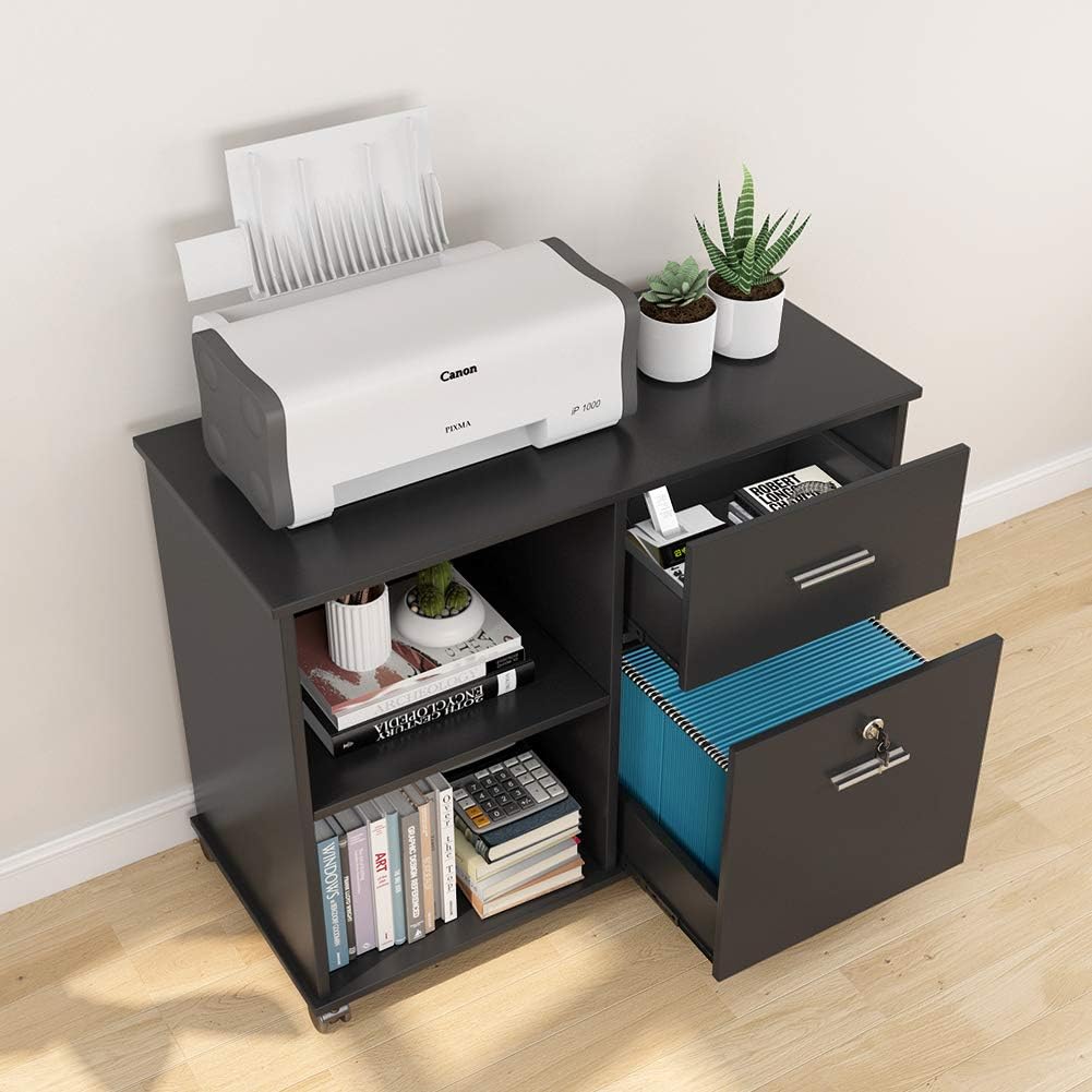 2 Drawer Mobile File Cabinet with Lock and Open Shelves X7074