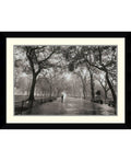 Framed Photographic Print R4581