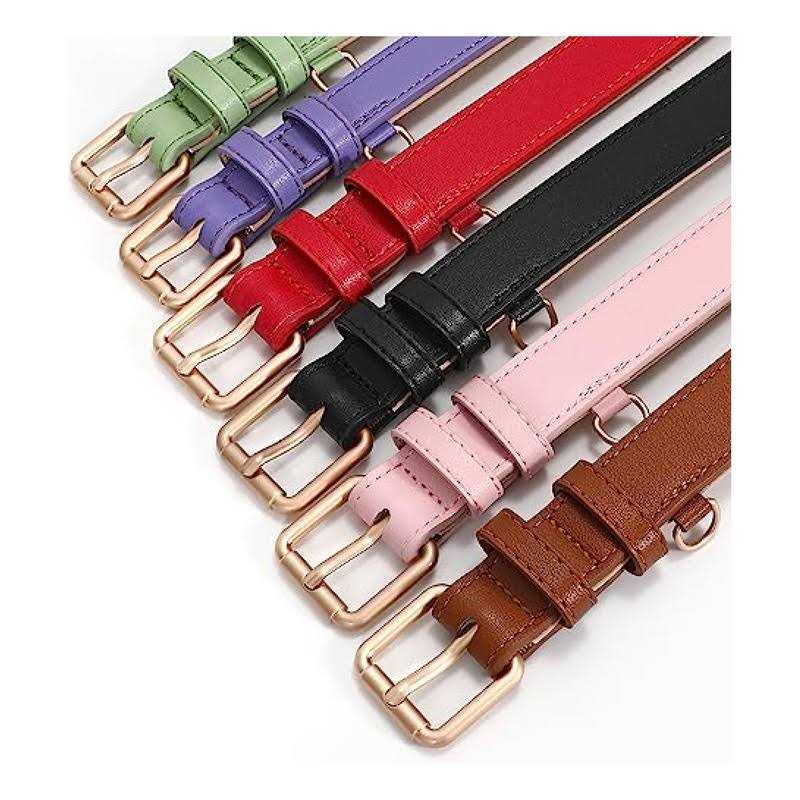 Personalized Dog Collars H169