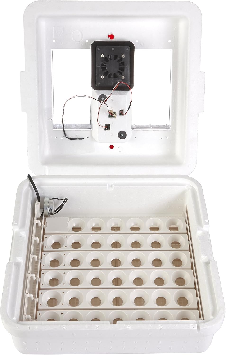 41 Egg Incubator with Fan and Temperature and Humidity Control U6129