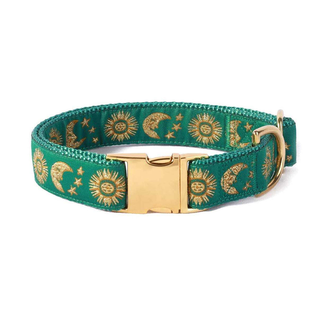 Cat Collar Dog Collar Cat Leash K173457