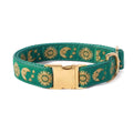 Cat Collar Dog Collar Cat Leash K173457