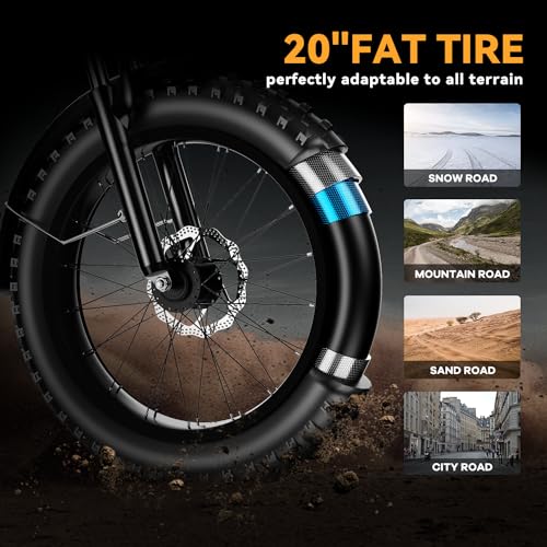 20" Fat Tire 1000W Electric Bike with 48V 20AH Removable Battery H53866