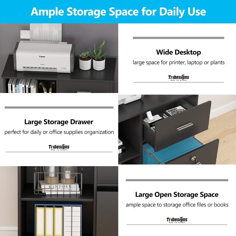 2 Drawer Mobile File Cabinet with Lock and Open Shelves X7074