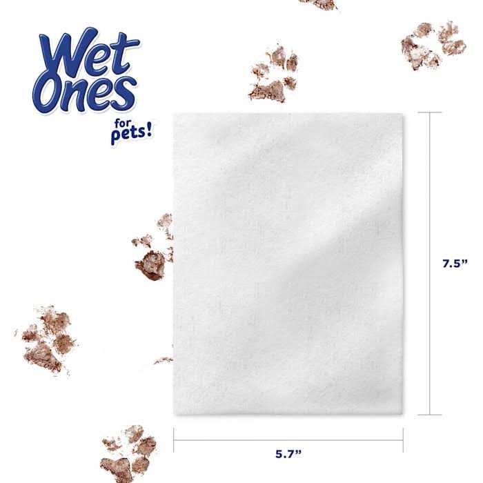 Pet Wipes H672