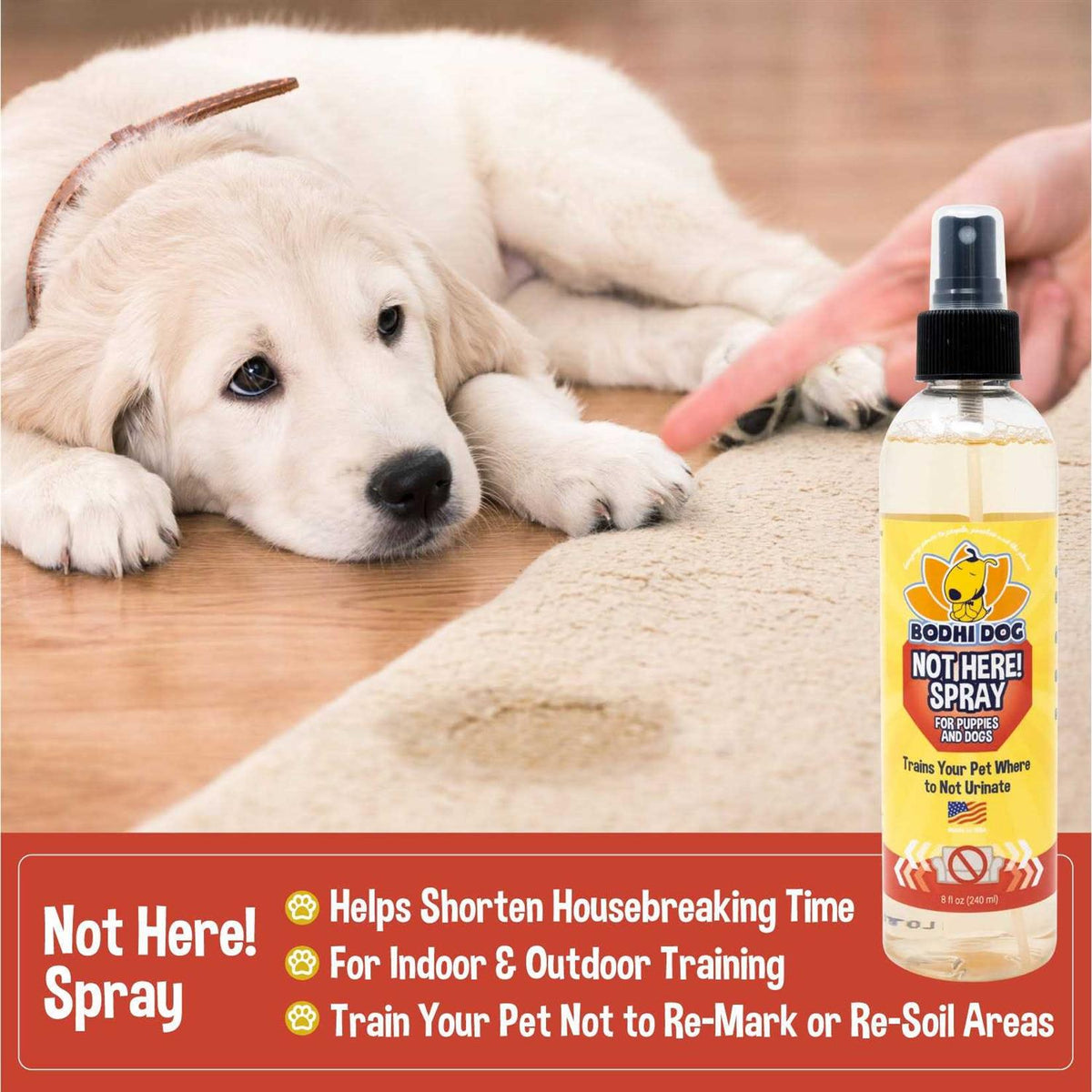 Pet Training Spray Z707055
