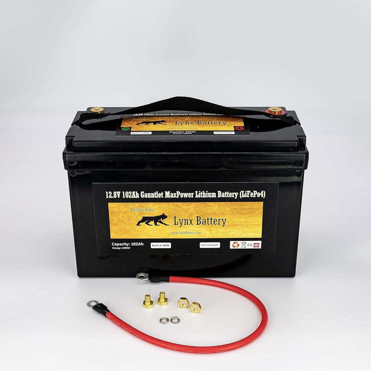 12V 100Ah Lithium Iron Phosphate LiFePO4 Battery with BMS L1669