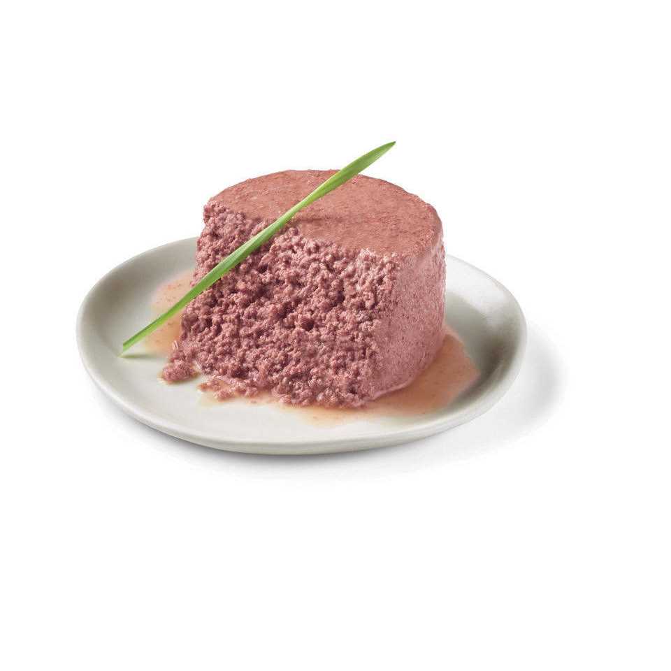 Wet Cat Food V4995